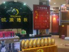 河南安阳欧派地板加盟店